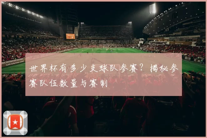 世界杯有多少支球队参赛？揭秘参赛队伍数量与赛制