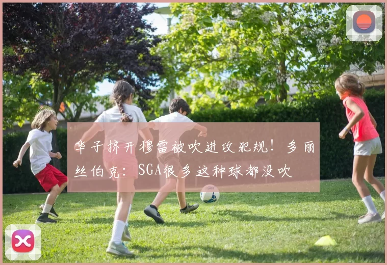 华子挤开穆雷被吹进攻犯规！多丽丝伯克：SGA很多这种球都没吹