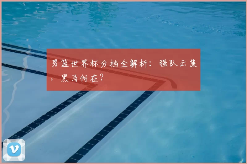 男篮世界杯分档全解析:强队云集,黑马何在?