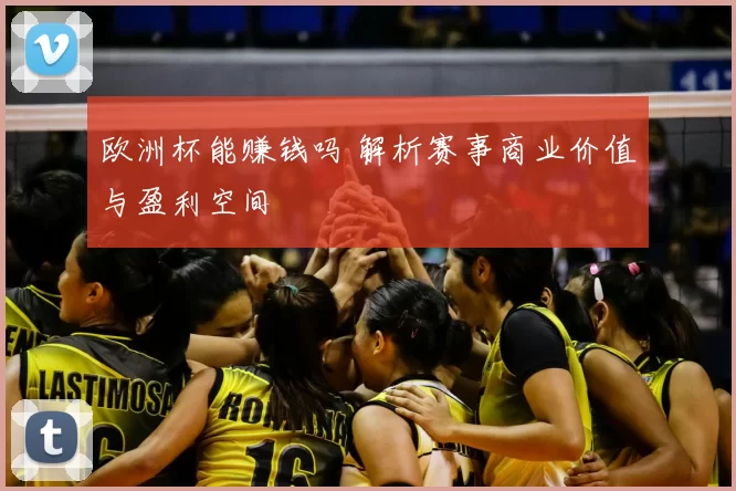 欧洲杯能赚钱吗 解析赛事商业价值与盈利空间