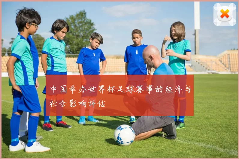 中国举办世界杯足球赛事的经济与社会影响评估