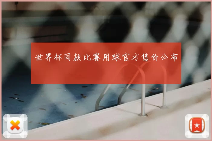 世界杯同款比赛用球官方售价公布