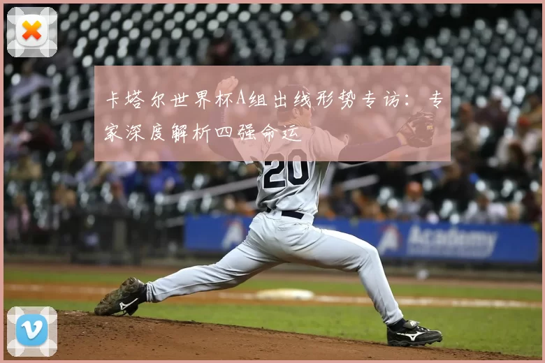 卡塔尔世界杯A组出线形势专访：专家深度解析四强命运