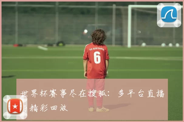 世界杯赛事尽在搜狐：多平台直播与精彩回放