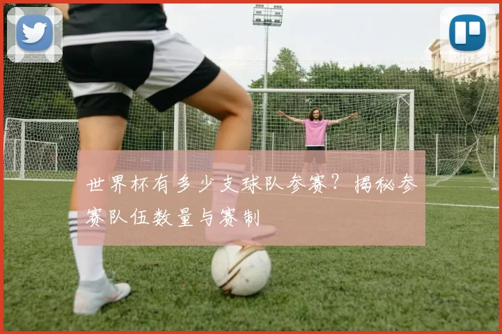 世界杯有多少支球队参赛？揭秘参赛队伍数量与赛制