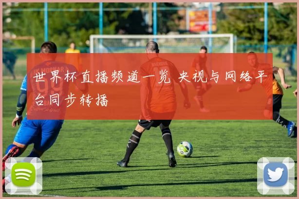 世界杯直播频道一览 央视与网络平台同步转播