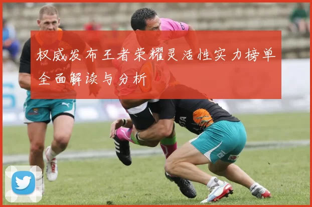 权威发布王者荣耀灵活性实力榜单全面解读与分析