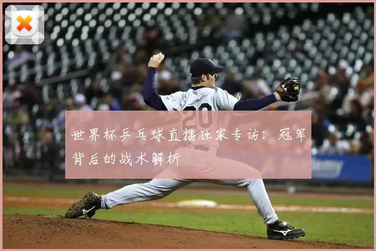 世界杯乒乓球直播独家专访：冠军背后的战术解析