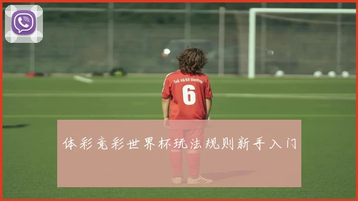 体彩竞彩世界杯玩法规则新手入门