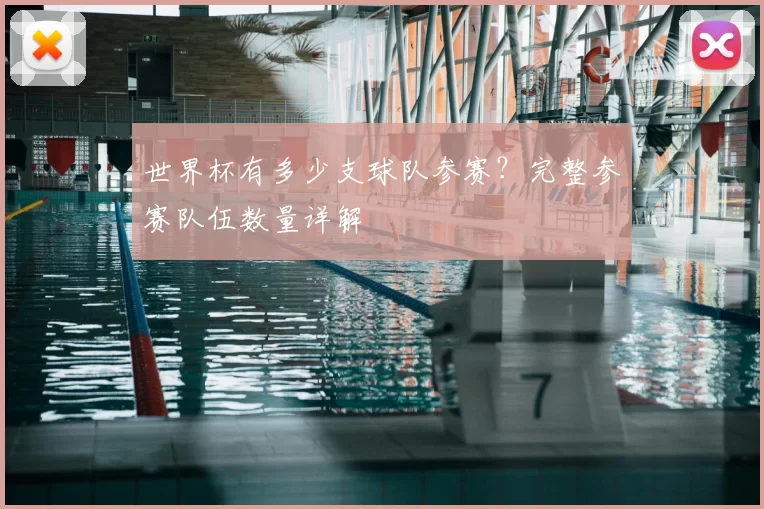世界杯有多少支球队参赛?完整参赛队伍数量详解