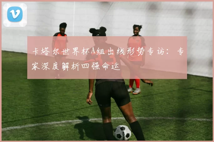 卡塔尔世界杯A组出线形势专访：专家深度解析四强命运