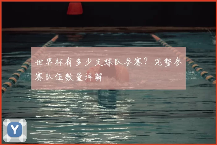 世界杯有多少支球队参赛?完整参赛队伍数量详解