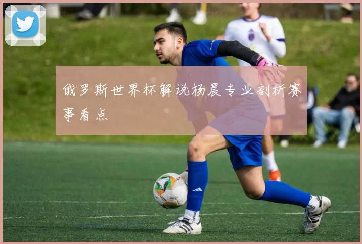 俄罗斯世界杯解说杨晨专业剖析赛事看点