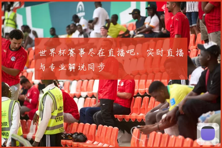 世界杯赛事尽在直播吧,实时直播与专业解说同步