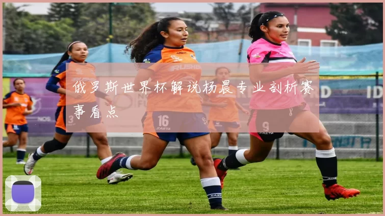 俄罗斯世界杯解说杨晨专业剖析赛事看点