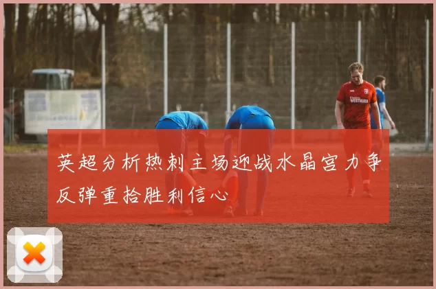 英超分析热刺主场迎战水晶宫力争反弹重拾胜利信心